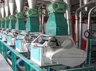 產(chǎn)品名稱：落地式平篩等級(jí)粉成套設(shè)備2
產(chǎn)品型號(hào)：
產(chǎn)品規(guī)格：