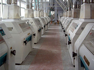 產(chǎn)品名稱：磨粉車間2
產(chǎn)品型號(hào)：
產(chǎn)品規(guī)格：