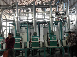 產(chǎn)品名稱：日加工面粉10噸--30噸成套設(shè)備
產(chǎn)品型號(hào)：
產(chǎn)品規(guī)格：