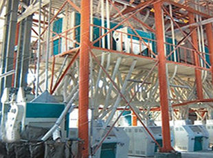 產(chǎn)品名稱：日加工小麥30噸---200噸鋼架式成套設(shè)備
產(chǎn)品型號(hào)：
產(chǎn)品規(guī)格：